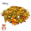 Zooply Gold Hamster Food - Special diet for golden hamsters - Packed in a bucket - 800 grams