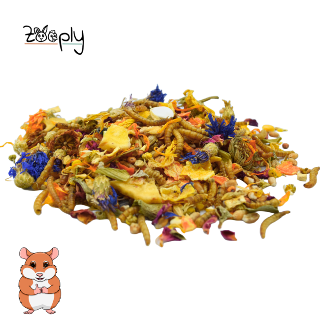 Zooply Dwarf Hamster Food - Special feed for dwarf hamsters - Packaged in a bucket - 1750 grams