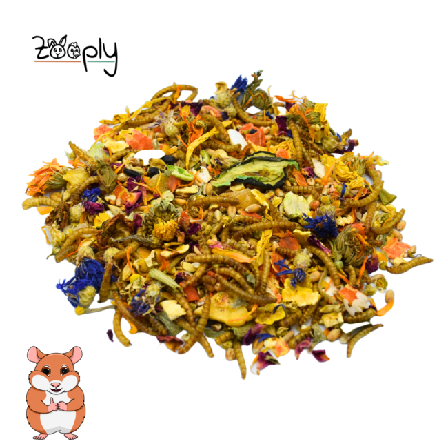 Zooply Dwarf Hamster Food - Special feed for dwarf hamsters - Packaged in a bucket - 1750 grams