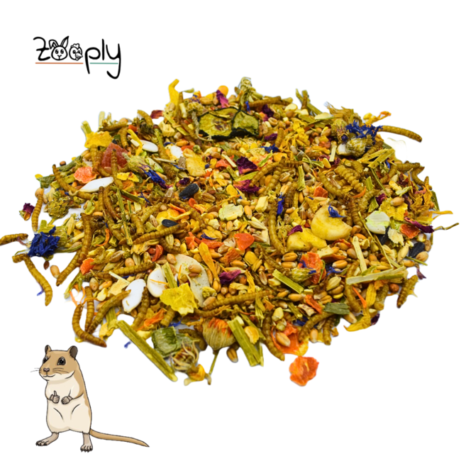 Zooply Gerbil food - Special food for gerbils - Packaged in a bucket - 800 grams