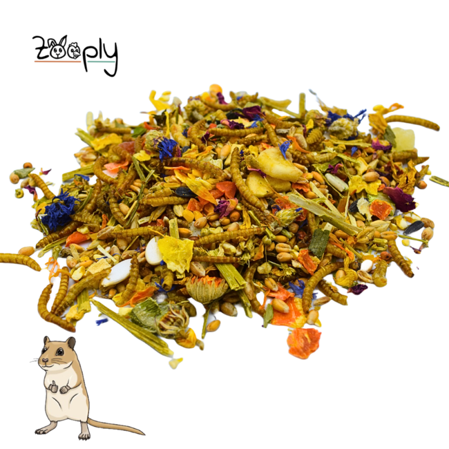 Zooply Gerbilvoer - Speciale voeding voor gerbils - Verpakt in emmer - 800 gram