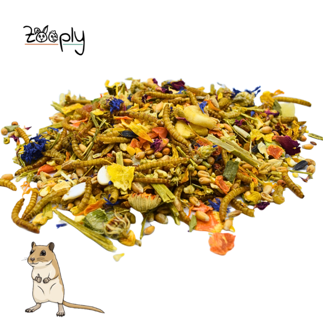 Zooply Gerbilvoer - Speciale voeding voor gerbils - Verpakt in emmer - 1750 gram