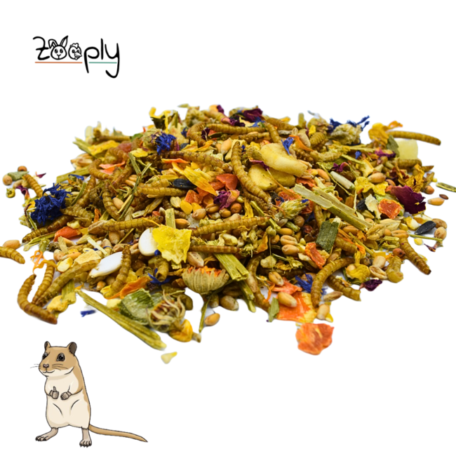 Zooply Gerbil Food - Special food for gerbils - Packaged in a bucket - 1750 grams