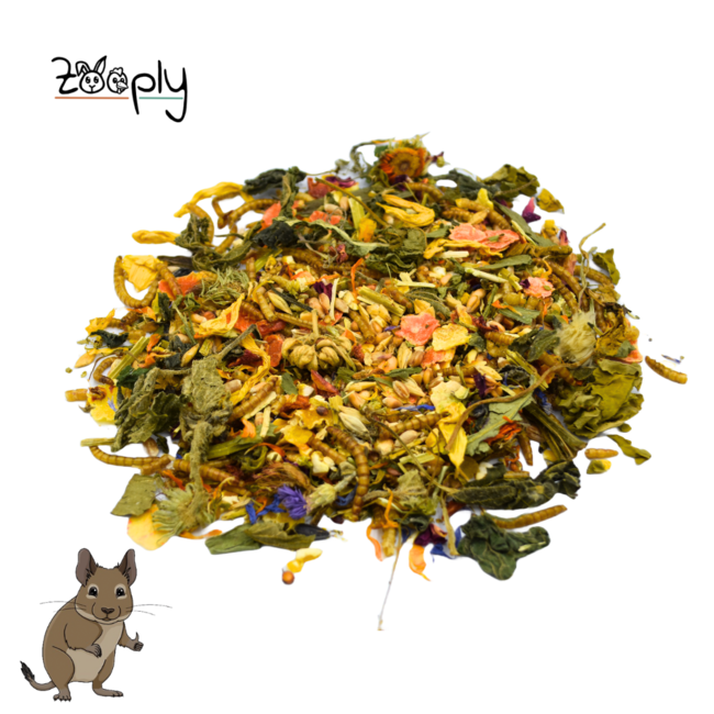 Zooply Degoevoer - Speciale voeding voor degoes - Verpakt in emmer - 1 kg