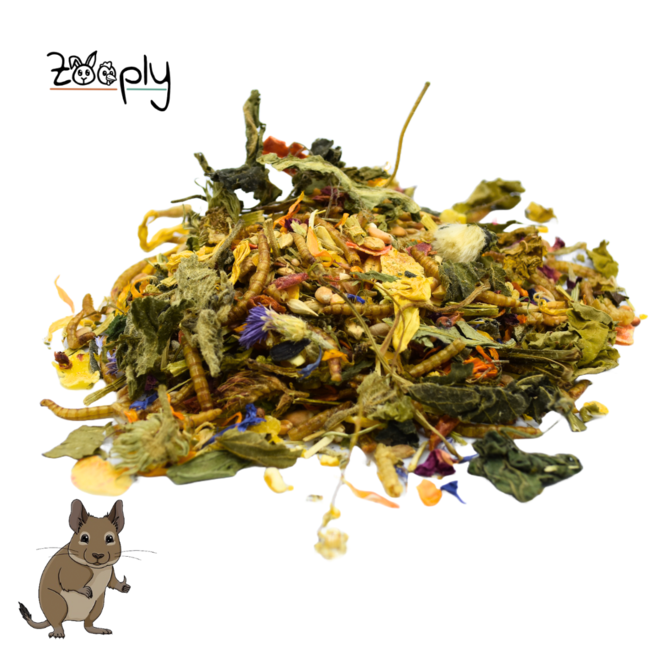 Zooply Degoevoer - Speciale voeding voor degoes - Verpakt in emmer - 1 kg