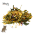 Zooply Degoevoer - Speciale voeding voor degoes - Verpakt in emmer - 1 kg