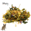 Zooply Degoe food - Special nutrition for golden hamsters - Packed in a bucket - 1750 grams