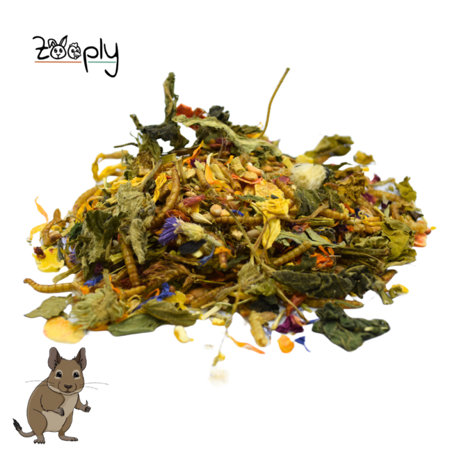 Zooply Degoe food - Special nutrition for golden hamsters - Packed in a bucket - 1750 grams