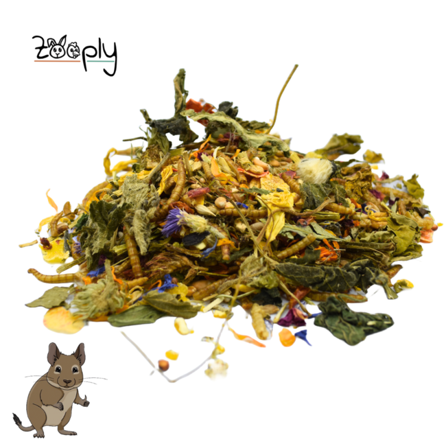 Zooply Degoe food - Special nutrition for golden hamsters - Packed in a bucket - 1750 grams