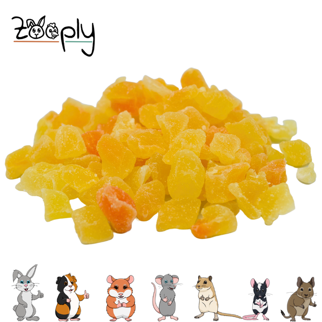 Zooply Meloen - Gedroogd fruit voor konijnen en knaagdieren - Gezonde snack