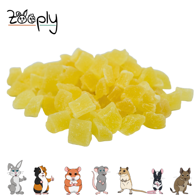 Zooply Pineapple - Dried fruit for rabbits and rodents - Healthy snack