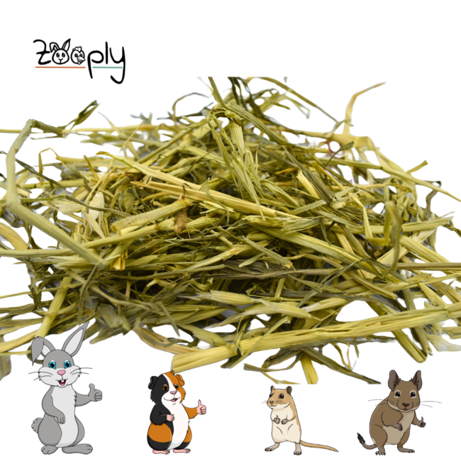 Zooply Green Oats - Dried herbs for rabbits and rodents - Healthy snack