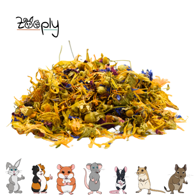 Zooply Bloemenmix - Verschillende gedroogde bloemen voor konijnen en knaagdieren - Gezonde snack