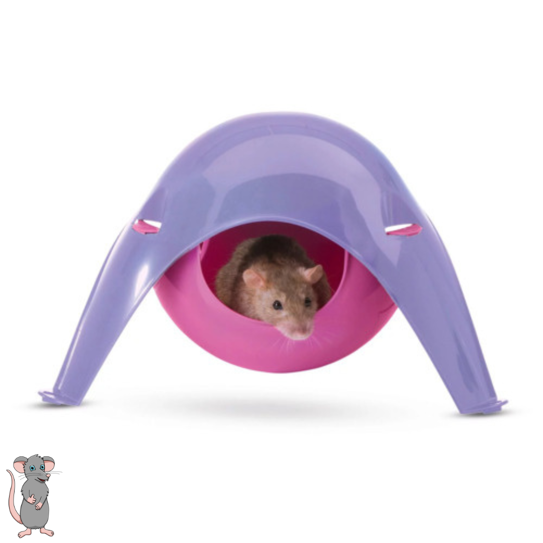 Savic Sputnik voor ratten en fretten - 29 x 26 x 19 cm - Plastic - Paars / Roze