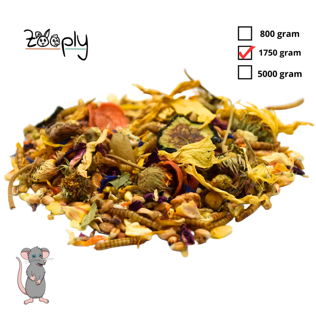 Zooply Rat Food - Special nutrition for gold hamsters - Packaged in bucket - 1750 grams