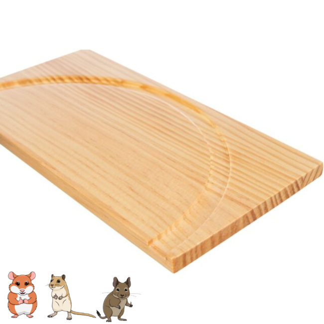 Sand bath with platform - Ceramic sand bath for hamsters and gerbils - ø 21 cm × 8 cm - Grey