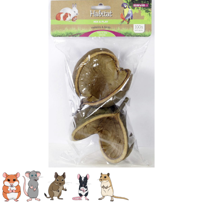 Boedha noot voor hamsters en andere knaagdieren - Perfect voor een Scaping - 2 stuks