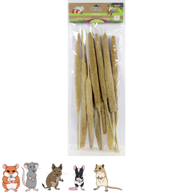 Babla Plant voor hamsters en andere knaagdieren - Perfect voor een Scaping - 10 stuks