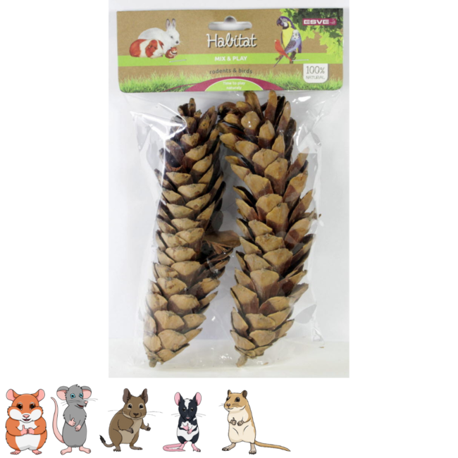 Grote dennenappels voor hamsters en andere knaagdieren- Perfect voor een Scaping - 2 stuks