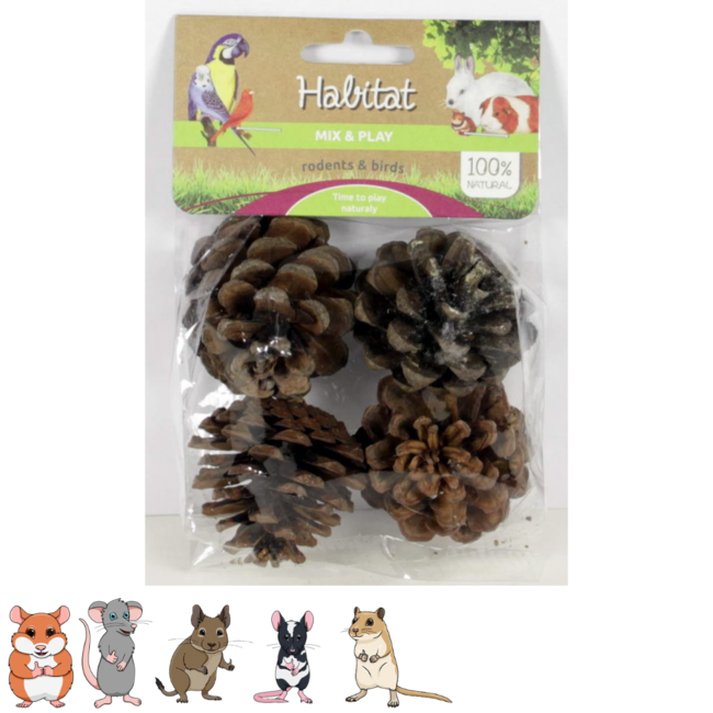 Pine cones for hamsters and other rodents - Perfect for a scape - 4 pieces