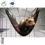 Hammock for rats and ferrets - Luxury - 31 x 44 cm - Paw print