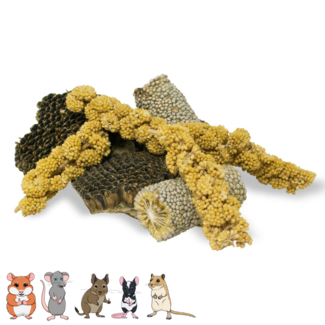 JR Farm Nibble pieces - 50 grams