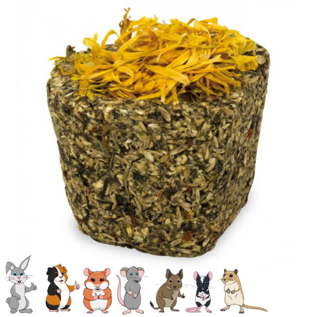 Gnawing tray - Snack for rabbits and rodents - Assorted - 75 grams