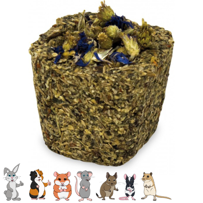 Gnawing tray - Snack for rabbits and rodents - Assorted - 75 grams