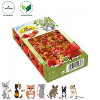 JR Farm Strawberry gnawing stick - 125 grams
