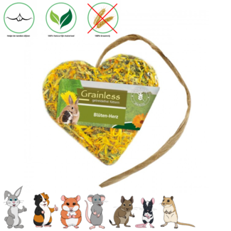 JR Farm Grain-free heart - 90 grams