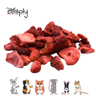 Zooply Aardbei - 45 gram