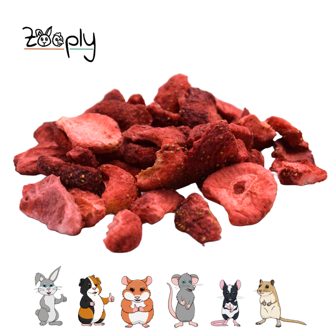 Zooply Aardbei - Gedroogde fruitsnack voor konijnen, cavia's en kleine knaagdieren - Zoete snack