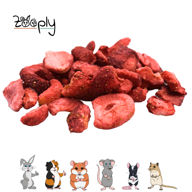 Zooply Aardbei - Gedroogde fruitsnack voor konijnen, cavia's en kleine knaagdieren - Zoete snack