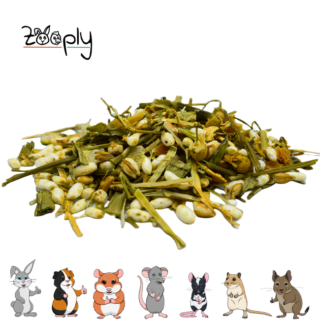 Zooply Pokébowl met Groente - Snackmix van erwt, rijst, aardappel, peterselie, gerst, prei, selderij en kamille voor konijnen, cavia's en knaagdieren - Gezonde snack