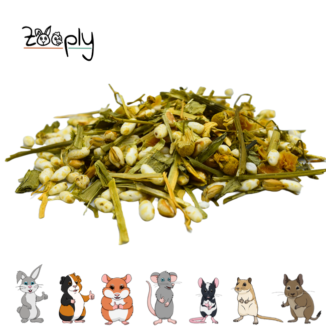 Zooply Pokébowl met Groente Snack for Rabbits, Guinea Pigs and Small Rodents - Natural Snack - 200 grams