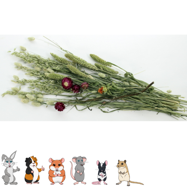 Pet Bouquet Meadow Crop