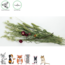 Esve Pet Bouquet Weidegewas - Snack van grassen en kruiden voor konijnen, cavia's, hamsters, gerbils en muizen