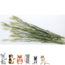 Esve Pet Bouquet Tarweakker - Snack van tarwe voor konijnen, cavia's, hamsters, gerbils, muizen en ratten