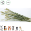 Esve Pet Bouquet Tarweakker - Snack van tarwe voor konijnen, cavia's, hamsters, gerbils, muizen en ratten