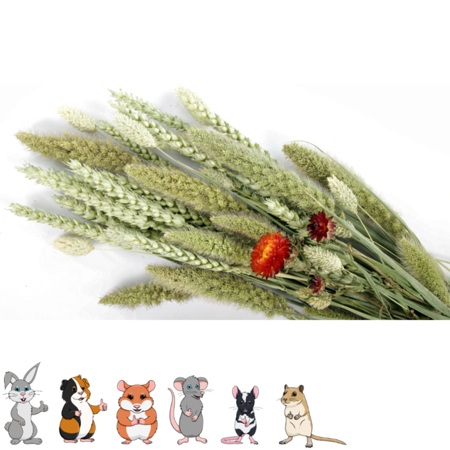 Esve Pet Bouquet Koker Habitat - Snack van granen, grassen en bloemen voor knaagdieren en vogels