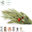 Esve Pet Bouquet Koker Habitat - Snack van granen, grassen en bloemen voor knaagdieren en vogels