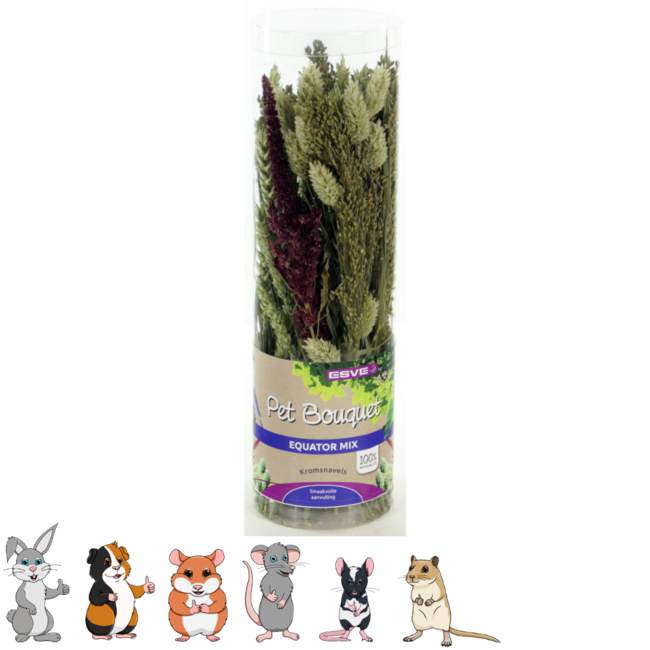 Pet Bouquet Tube Equator