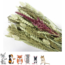 Esve Pet Bouquet Koker Equator - Snack van gedroogde grassen, granen en bloemen voor knaagdieren en vogels