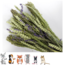 Esve Pet Bouquet Koker Aves Minor - Bos van granen, grassen en bloemen voor knaagdieren en vogels