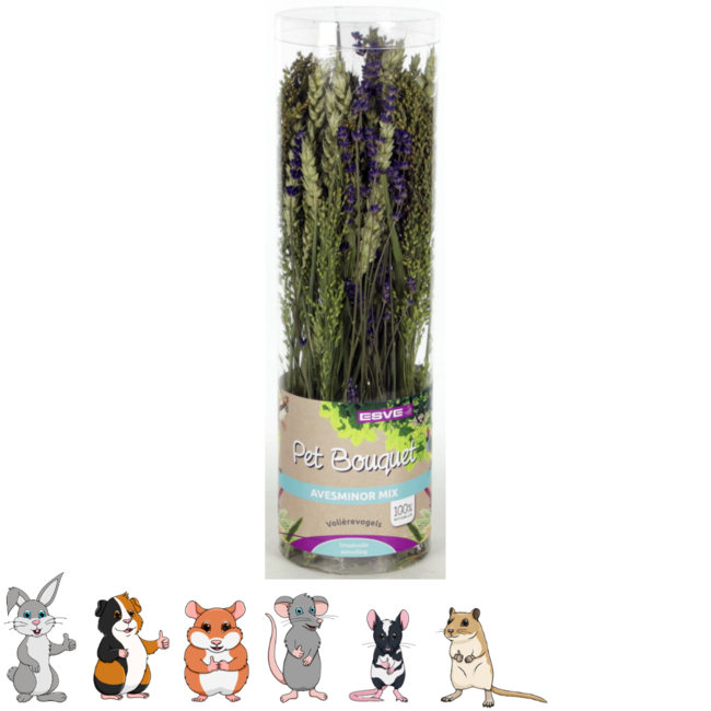 Pet Bouquet Koker Aves minor