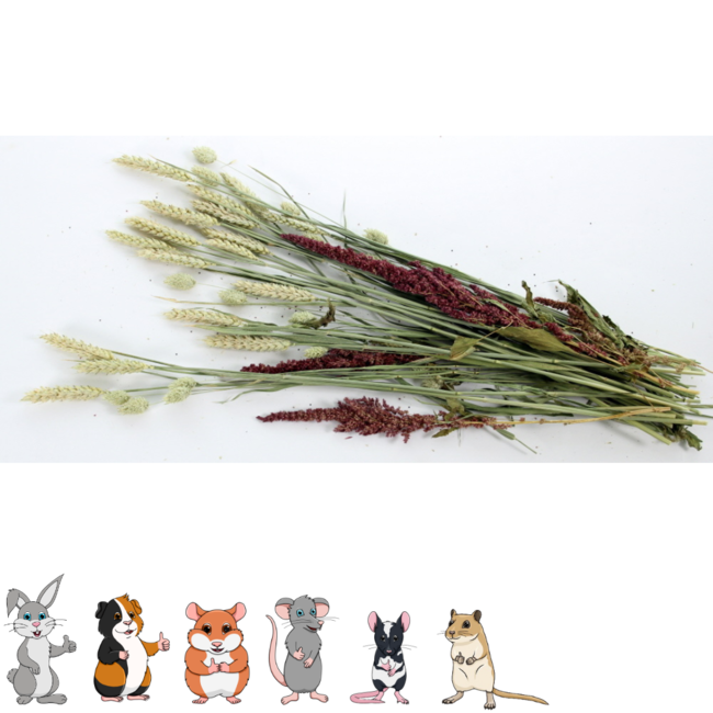 Esve Pet Bouquet Knabbelstruik - Snack van granen, grassen en kruiden voor konijnen en knaagdieren - Gezonde snack