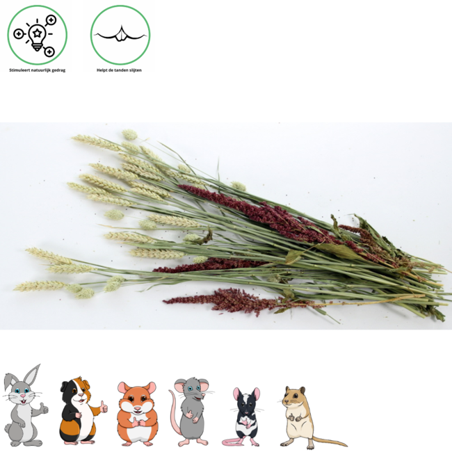Pet Bouquet Chew Shrub