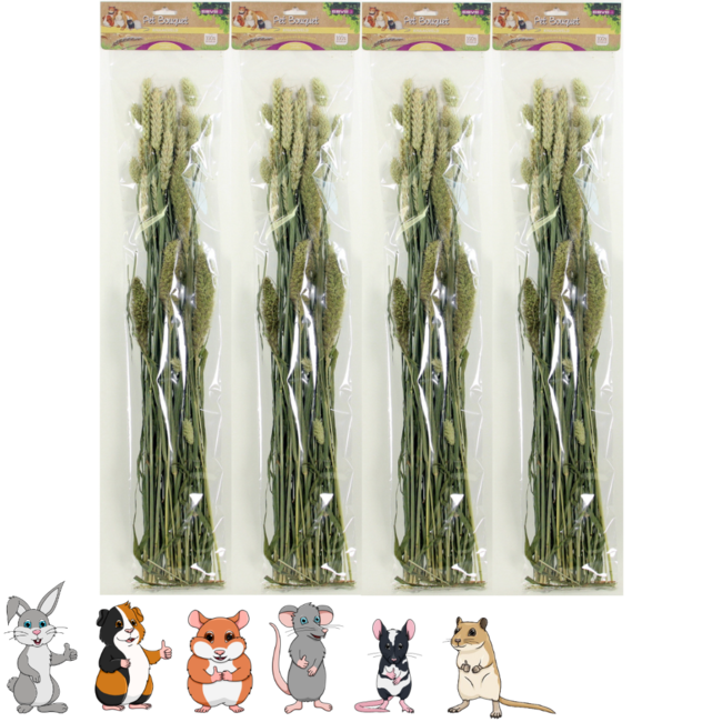 Pet Bouquet Gnawing Field