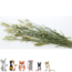 Esve Pet Bouquet Knaagveld - Snack van granen, grassen en kruiden voor konijnen, cavia's, hamsters en gerbils