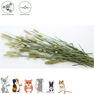 Esve Pet Bouquet Gnawing Field